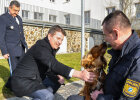 Staatssekretär Sandro Kirchner Besuch ZDHS Herzogau