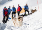 Personen mit Hunden im Schnee