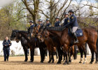 Reiter auf Polizeipferden seitlich