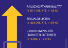 Eine Grafik über den Anstieg bei 
-	Rauschgiftkriminalität (plus 871 Delikte, das ist ein Plus von 1,6 Prozent)
-	Sexualdelikten (plus 424 Delikte, das ist ein Plus von 4,9 Prozent)
-	Cyberkriminalität, Tatmittel Internet (plus 3.280, das ist ein Plus von 12,4 Prozent)
