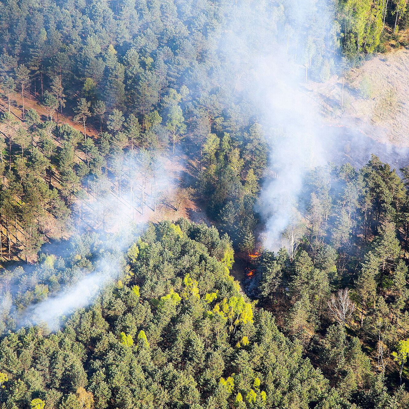 Rauch und vereinzelte Flammen in brennendem Mischwald, Luftaufnahme