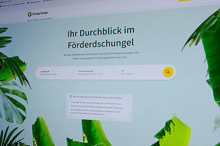 Desktopansicht der Website Förderfinder mit grünen Blättern herum angeordnet