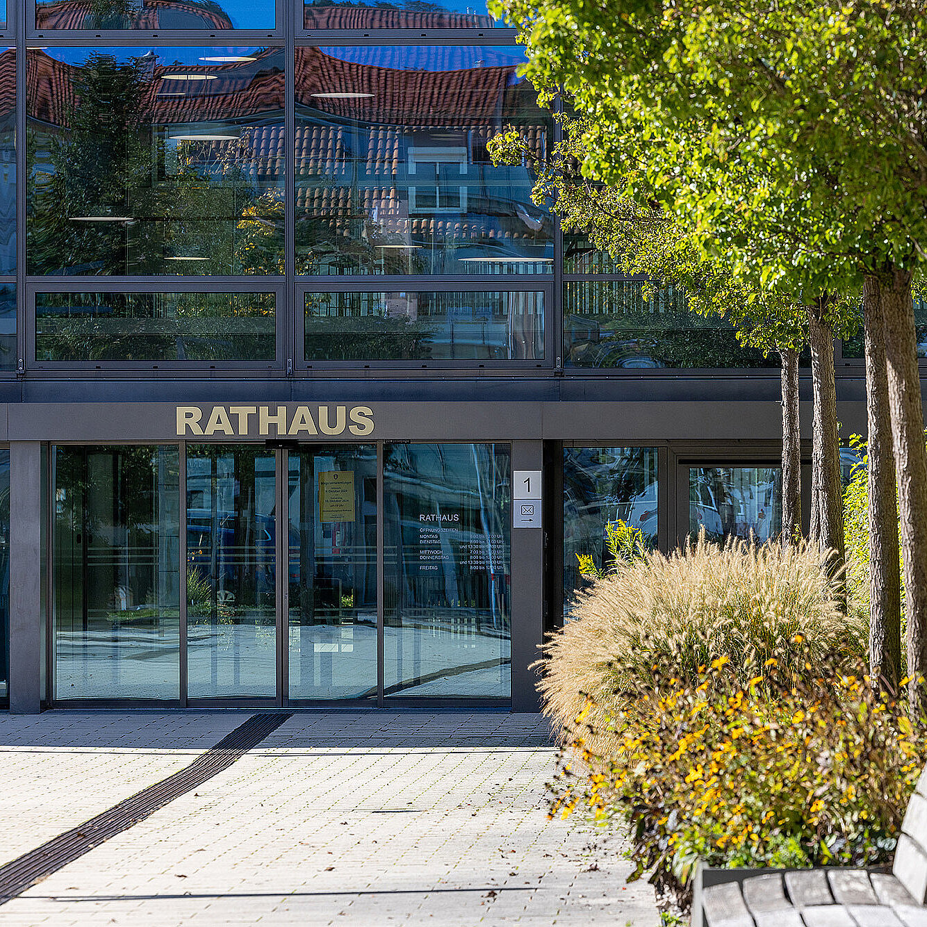Eingangsbereich eines modernen Rathauses mit Glasfassade und goldener Aufschrift „RATHAUS“, rechts Bäume, Ziergräser und eine Holzbank im Sonnenschein.
